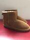 NEW UGG Classic Mini Women's size US 10 (EU 41) Winter Ankle Boots Chestnut